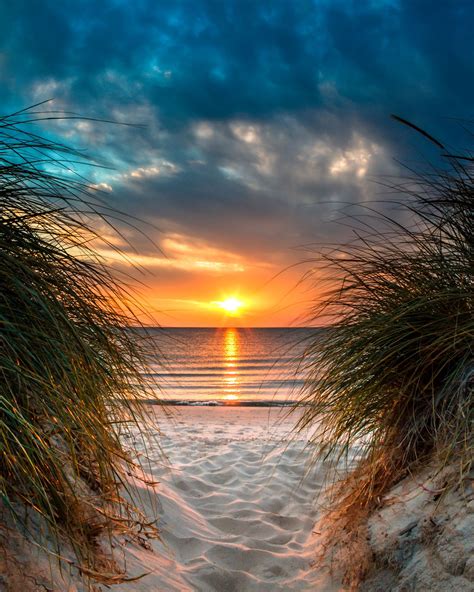 Beach Sand Dunes Sunset