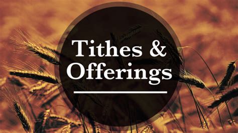 Church Preaching Slide: Tithes and Offerings - Wheat - SermonCentral.com