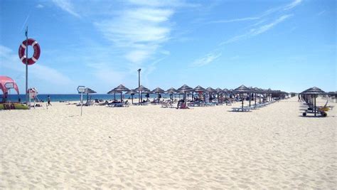 Tavira Island ‹ Beaches in Tavira ‹ Tavira Guide