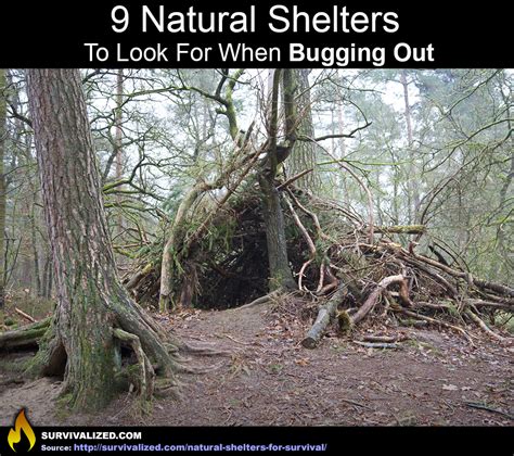 9 Natural Shelters To Look For When Bugging Out - Survivalized