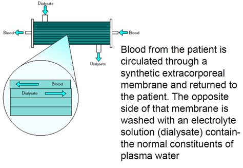 Plasmapheresis - Indications, Plasmapheresis Side Effects