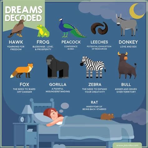 The Symbolism of Animals in Dreams and Their Hidden Meanings