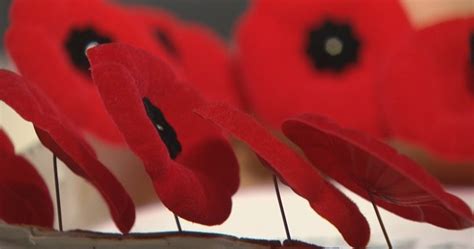 Royal Canadian Legion launches 2020 Poppy Campaign in London - London ...