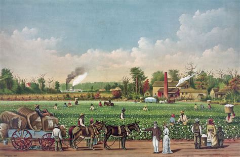 Plantation | Sugar Cane, Cotton & Tobacco | Britannica