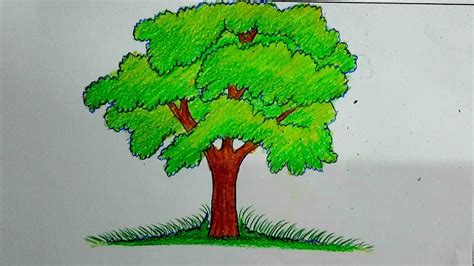 Simple Pencil Drawing Of A Tree