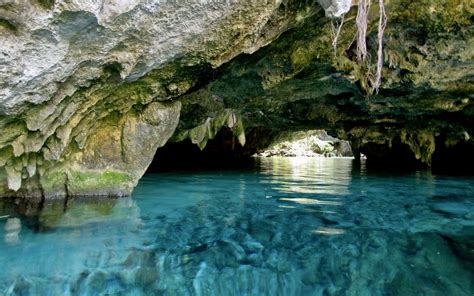 The Best Cenotes In Tulum You Want To Visit | MEXLocal