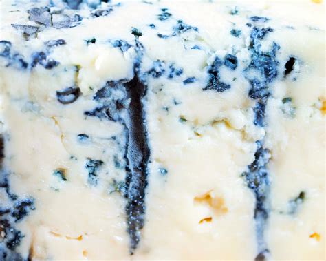 “Artisanal Cheese” Possible – Taming the Wild Cheese Fungus