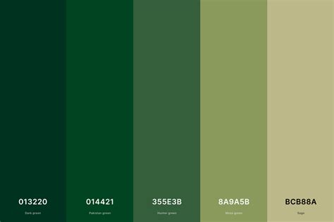 Dark Green Color Palette