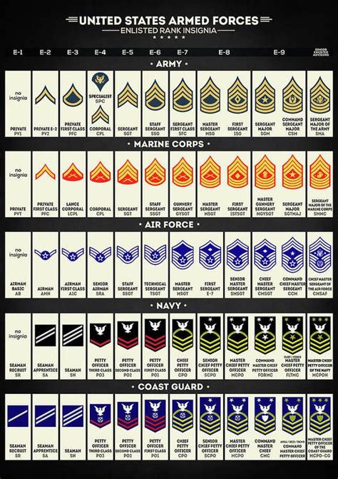 United States Armed Forces Rank Insignia | United states armed forces ...