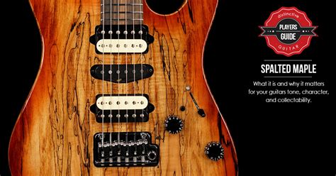 Spalted Maple Guitars - What Is Spalted Maple Why Does It Matter ...