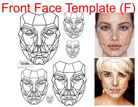 Female Face Template, Female Face Ratio, Female Face Grid, Front Face ...