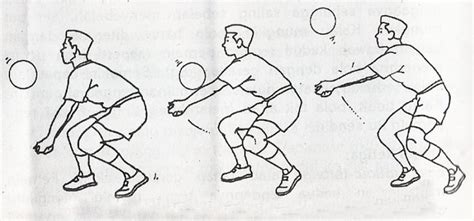 5 Teknik Dasar Permainan Bola Voli Yang Harus Dikuasai Pemain
