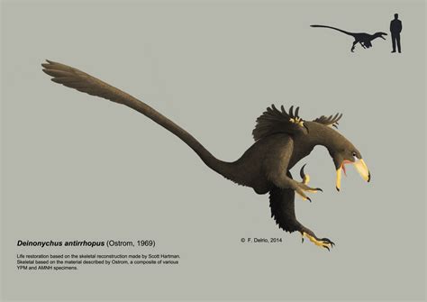 Deinonychus antirrhopus 2014 by DELIRIO88 on DeviantArt