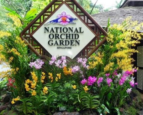 National Orchid Garden (Singapore) - 2021 What to Know Before You Go ...