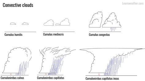 Clouds That Have Vertical Development and Produce Thunderstorms Are Called