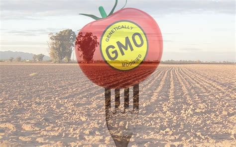 Monsanto's GMO Crops Are Secretly Destroying Farmland