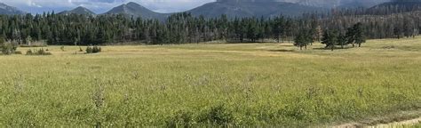 Upper Beaver Meadow Loop, Colorado - 896 Reviews, Map | AllTrails