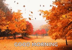 Good Morning Fall GIFs | GIFDB.com