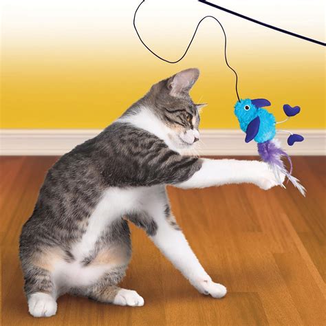 The Best Cat Toys for 2020 According to a Few Hyperactive, Playful Cats ...