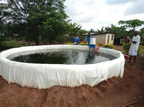 YALI Voices: Making Aquaculture Possible Using Simple Raised Fish Tanks ...