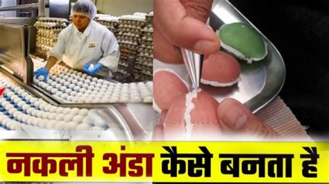 देखिए नकली अंडा कैसे बनता है | How Fake Eggs are Made and Fake Egg ...