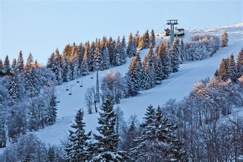 Soriška Planina • Ski Holiday • Reviews • Skiing