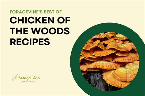 21 Best Chicken of the Woods Recipes Ever Satisfy Your Cravings ...