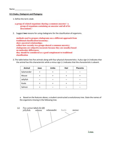 Cladogram Practice Worksheet Answers - Ivuyteq