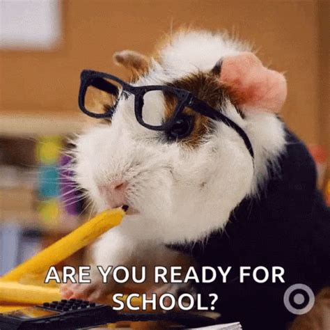 Are You Ready For Back To School GIF | GIFDB.com