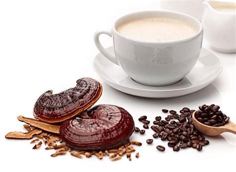 Mushroom Coffee Ganoderma Health Benefits - Coffee Lovers