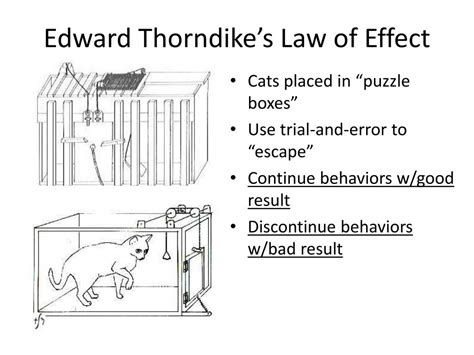 Thorndike Law Of Effect