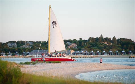 Chappaquiddick - Chappy Edgartown MA Martha's Vineyard