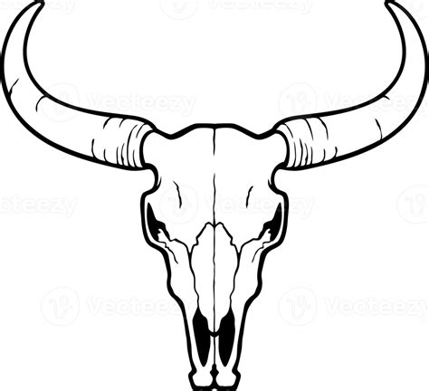 Bull skull black and white png illustration 8505911 PNG