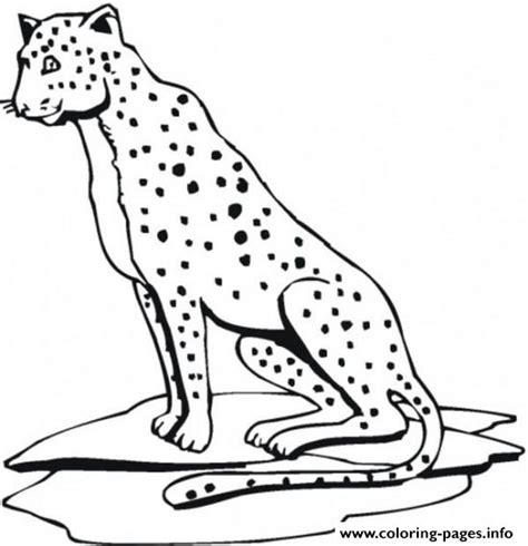 Cheetah Print Out S Animal19de Coloring page Printable