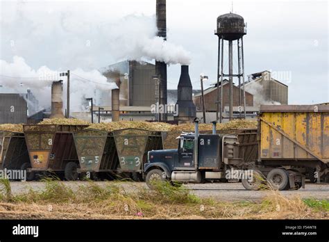 Sugarcane production factory St Mary Sugar Cooperative Sugar Mill ...