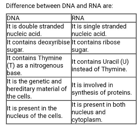 What is the difference between the RNA and DNA - Science - Cell ...