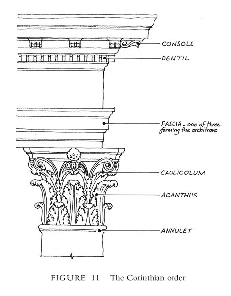 Corinthian order terminology | Classical order, Corinthian order ...