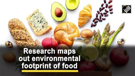 Research maps out environmental footprint of food | News - Times of ...