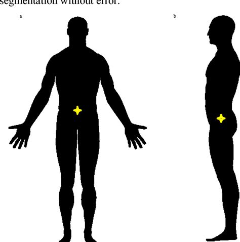 Real time estimation and tracking of human body Center of Mass using 2D ...