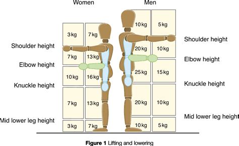 Manual Handling Lift Chart