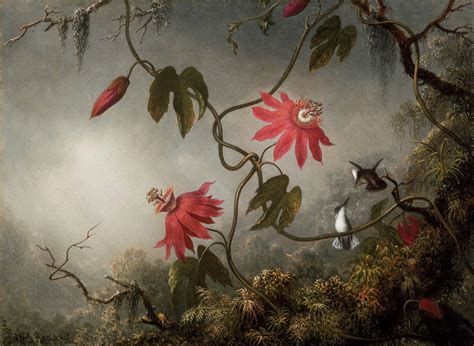 Passion Flowers with Hummingbirds - Heade Martin Johnson - WikiArt.org