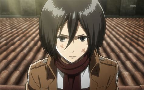 Mikasa Ackerman - Attack on Titan Wiki - Neoseeker