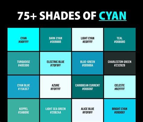 Cyan Color - Effy Moom