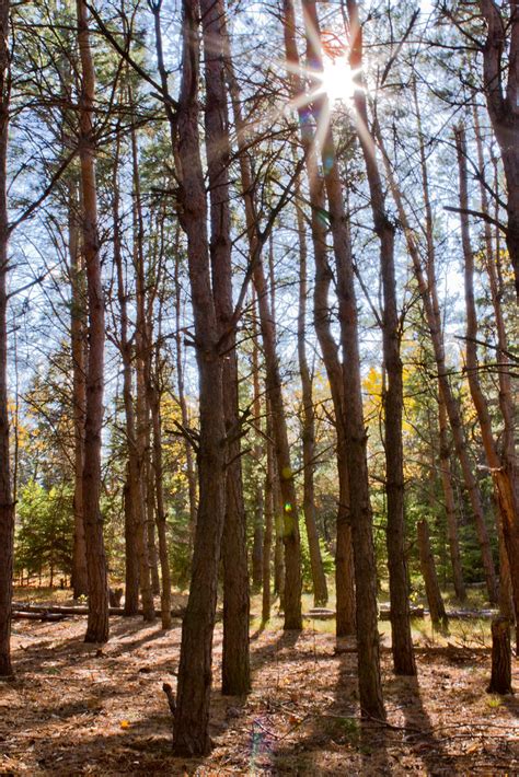 Birds Hill Park - Manitoba Canada-Oct 15, 2011 | Canon 7D 24… | Flickr