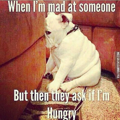 Funny I'm Hungry Memes | Bulldog funny, Funny animal jokes, Animal jokes