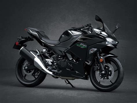 2024 Kawasaki Ninja 500 Preview | Motorcyclist