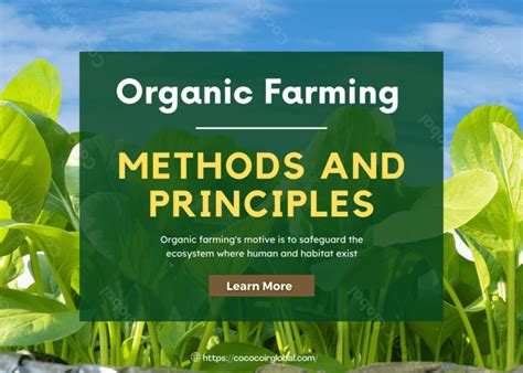 Methods and Principles of Organic farming - Coco Coir Global