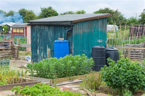 How To Start Your Own Allotment In The UK