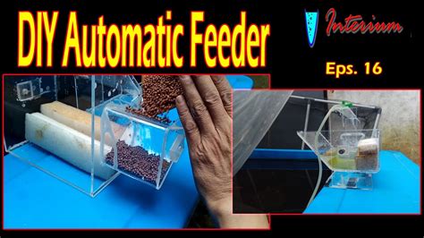 Eps. 16 : DIY Automatic Fish Feeder - YouTube