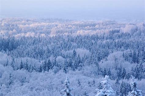 Appartement Ardennes Forest Nassogne, België - boek nu, prijzen van 2024